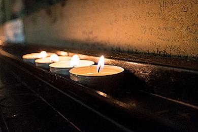 热门卡牌桌游《小白世纪》数字版即将于今秋发售